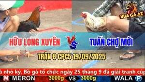 Trận 8 CPC5 19/9/2025 - Anh Hữu Long Xuyên Và Anh Tuấn Chợ Mới