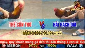 Trận 8 CPC5 26/9/2025 - Anh Thế Cần Thơ Và Anh Hải Rạch Giá