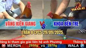Trận 8 CPC5 29/9/2025 - Anh Vàng Kiên Giang Và Anh Khoa Bến Tre