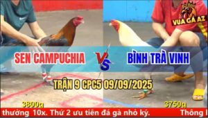Trận 9 CPC5 9/9/2025 - Anh Sen Campuchia Và Anh Bình Trà Vinh