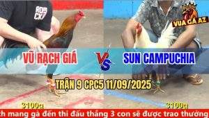 Trận 9 CPC5 11/9/2025 - Gà Que Anh Vũ Đá 3 Chân Hạ Cánh Gà Campuchia