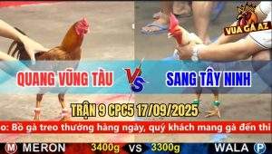 Trận 9 CPC5 17/9/2025 - Anh Quang Vũng Tàu Và Anh Sang Tây Ninh