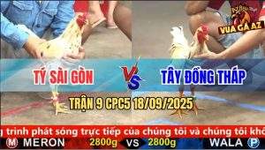 Trận 9 CPC5 18/9/2025 - Anh Tý Sài Gòn Và Anh Tây Đồng Tháp
