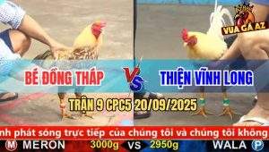 Trận 9 CPC5 20/9/2025 - Anh Bé Đồng Tháp Và Anh Thiện Vĩnh Long