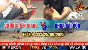 Trận 9 CPC5 25/9/2025 - Anh Cương Tiền Giang Và Anh Khoa Sài Gòn