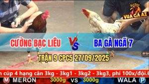 Trận 9 CPC5 27/9/2025 - Anh Cường Bạc Liêu Và Anh Ba Gà Ngã 7