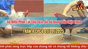 Trận 4 CPC4 1/9/2025