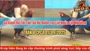 Trận 8 CPC4 1/9/2025