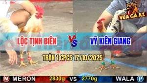 Trận 1 CPC5 17/10/2025 - Anh Lộc Tịnh Biên Và Anh Vỹ Kiên Giang