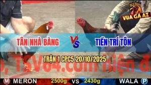 Trận 1 CPC5 20/10/2025 - Anh Tân Nhà Bàng Và Anh Tiền Trí Tôn