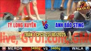 Trận 1 CPC5 23/10/2025 - Anh Tý Chùa Mở Bát May Mắn, Lụm Cái Xổ 100