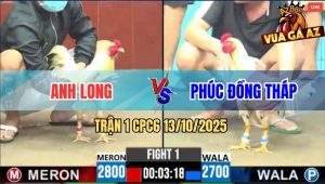 Trận 1 CPC6 13/10/2025 - Gà Bướm Anh Phúc Mở Bát Đâm Đối Thủ Bay Bồ