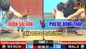 Trận 1 CPC6 30/10/2025 - Gà Bướm Anh Phước Đâm Điều Lật Xe