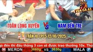 Trận 10 CPC5 12/10/2025 - Anh Toàn Long Xuyên Và Anh Nam Bến Tre