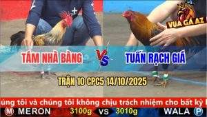 Trận 10 CPC5 14/10/2025 - Anh Tám Nhà Bàng Và Anh Tuấn Rạch Giá