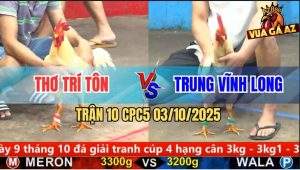 Trận 10 CPC5 3/10/2025 - Anh Thơ Trí Tôn Và Anh Trung Vĩnh Long