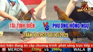Trận 10 CPC5 4/10/2025 - Anh Tài Tịnh Biên Và Anh Phương Hồng Ngự