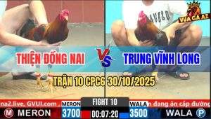 Trận 10 CPC6 30/10/2025 - Điều Xanh Canh Chặn Đá Bến Thế Khôn Gà