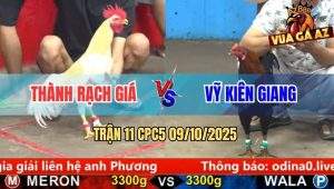 Trận 11 CPC5 9/10/2025 - Anh Thành Rạch Giá Và Anh Vỹ Kiên Giang