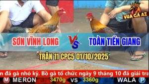 Trận 11 CPC5 1/10/2025 - Anh Sơn Vĩnh Long Và Anh Toàn Tiền Giang