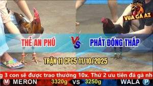 Trận 11 CPC5 11/10/2025 - Anh Thẻ An Phú Và Anh Phát Đồng Tháp
