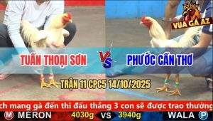 Trận 11 CPC5 14/10/2025 - Anh Tuấn Thoại Sơn Và Anh Phước Cần Thơ