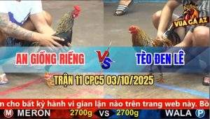 Trận 11 CPC5 3/10/2025 - Anh An Giồng Riềng Và Anh Tèo Đen Lê