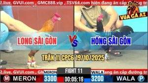 Trận 11 CPC6 19/10/2025 - Khét Anh Long Đâm Gà Xanh Không Kịp Gỡ Cựa
