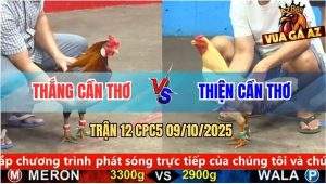 Trận 12 CPC5 9/10/2025 - Anh Thắng Cần Thơ Và Anh Thiện Cần Thơ