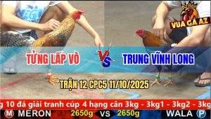 Trận 12 CPC5 11/10/2025 - Anh Tửng Lấp Vò Và Anh Trung Vĩnh Long