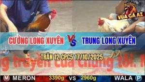 Trận 12 CPC5 17/10/2025 - Anh Cường Long Xuyên Và Anh Trung Long Xuyên