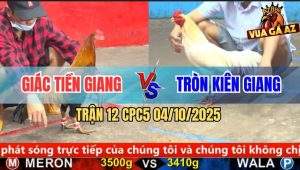 Trận 12 CPC5 4/10/2025 - Anh Giác Tiền Giang Và Anh Tròn Kiên Giang