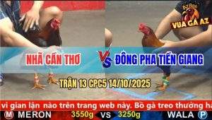 Trận 13 CPC5 14/10/2025 - Anh Nhã Cần Thơ Và Đông Pha Tiền Giang