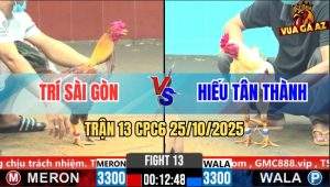 Trận 13 CPC6 25/10/2025 - Gà Úa Đá Như Súng Bắn 1 Hơi Gà Xám Rớt Tiền