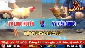 Trận 14 CPC5 13/10/2025 - Anh Vũ Long Xuyên Và Anh Vỹ Kiên Giang