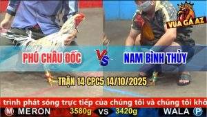 Trận 14 CPC5 14/10/2025 - Anh Phú Châu Đốc Và Anh Nam Bình Thủy