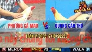 Trận 14 CPC5 17/10/2025 - Anh Phương Cà Mau Và Anh Quang Cần Thơ