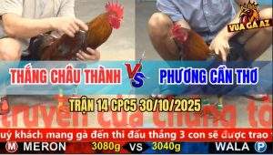 Trận 14 CPC5 30/10/2025 - Anh Thắng Châu Thành Và Anh Phương Cần Thơ