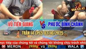 Trận 14 CPC5 3/10/2025 - Anh Vũ Tiền Giang Và Anh Phước Bình Chánh