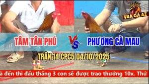 Trận 14 CPC5 4/10/2025 - Anh Tâm Tân Phú Và Anh Phương Cà Mau