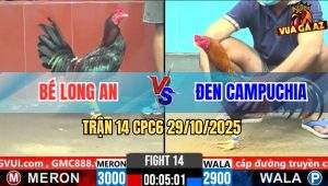 Trận 14 CPC6 29/10/2025 - Điều Mật Anh Bé Lọt Bọng Kêu Miệng Chạy