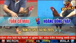 Trận 15 CPC5 14/10/2025 - Anh Tuấn Cà mau Và Anh Hoàng Đồng Tháp