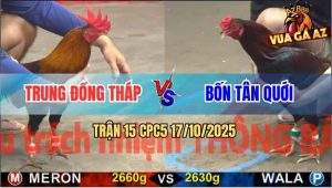 Trận 15 CPC5 17/10/2025 - Anh Trung Đồng Tháp Và Anh Bốn Tân Quới