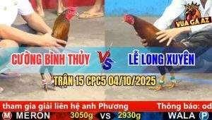 Trận 15 CPC5 4/10/2025 - Anh Cường Bình Thủy Và Anh Lễ Long Xuyên