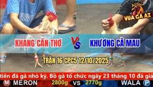 Trận 16 CPC5 12/10/2025 - Anh Khang Cần Thơ Và Anh Khương Cà Mau