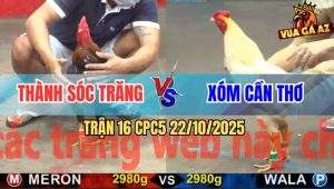 Trận 16 CPC5 22/10/2025 - Anh Thành Sóc Trăng Và Anh Xóm Cần Thơ