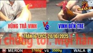 Trận 16 CPC5 24/10/2025 - Anh Hùng Trà Vinh Và Anh Vinh Bến Tre