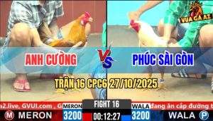 Trận 16 CPC6 27/10/2025 - Bướm Đá Quá Nhanh Khét Né Không Kịp Nằm Đống