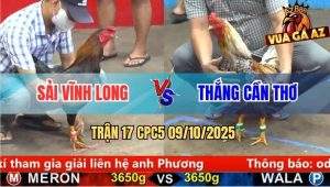Trận 17 CPC5 9/10/2025 - Anh Sải Vĩnh Long Và Anh Thắng Cần Thơ
