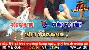 Trận 17 CPC5 12/10/2025 - Anh Sóc Cần Thơ Và Anh Cương Cao Lãnh